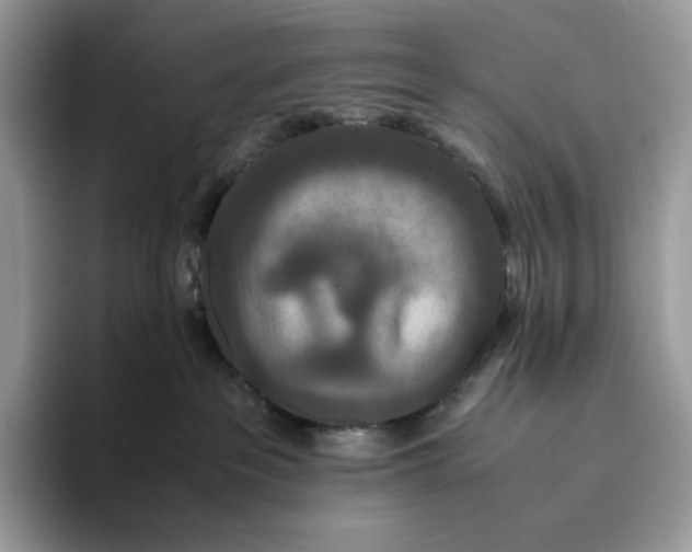 X0000093530237200711091803
