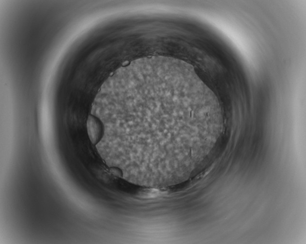 X0000093530239200711091803