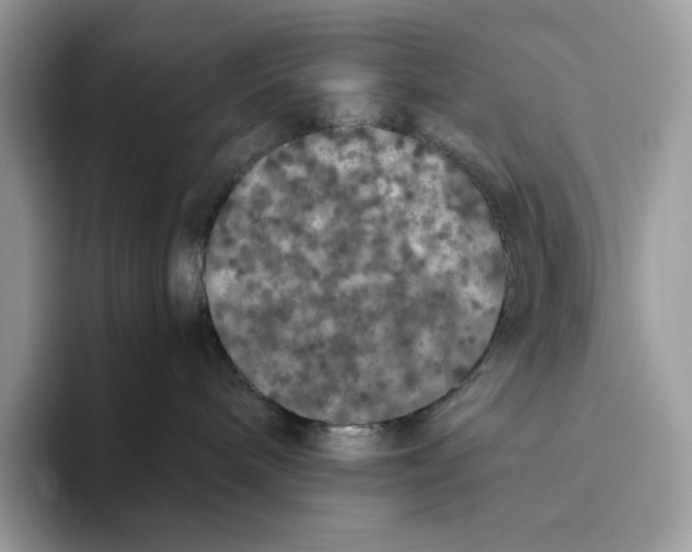 X0000093530240200711091803