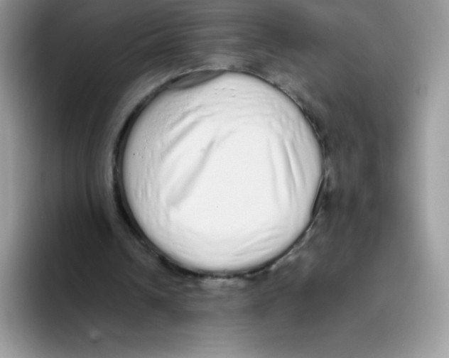 X0000093530242200711091803