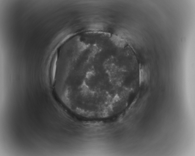 X0000093530243200711091803