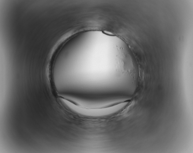 X0000093530244200711091803