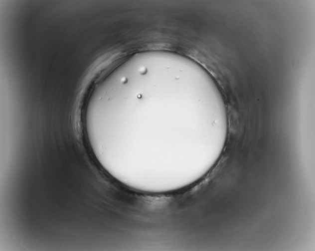 X0000093530245200711091803