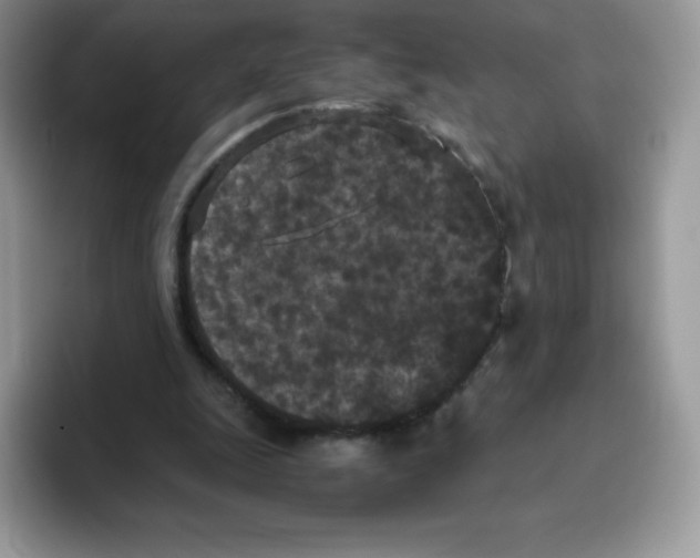 X0000093530247200711091803