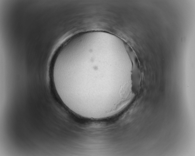 X0000093530248200711091803