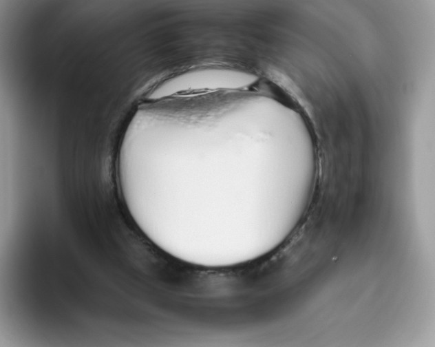 X0000093530249200711091803