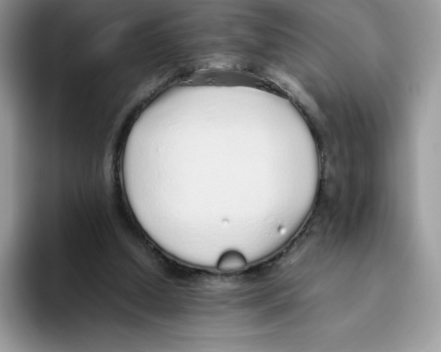 X0000093530250200711091803
