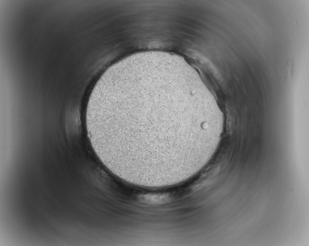 X0000093530251200711091803
