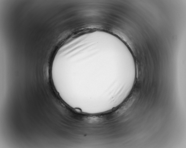 X0000093530253200711091803