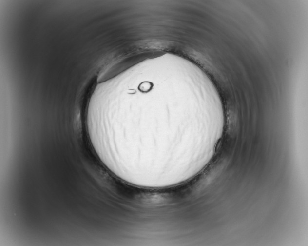 X0000093530254200711091803