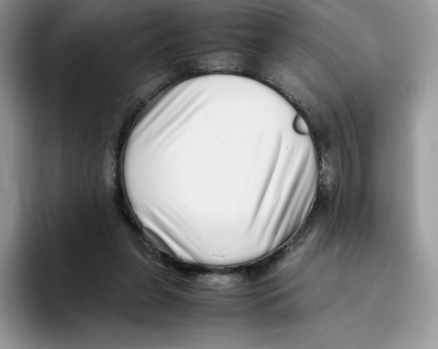 X0000093530255200711091803