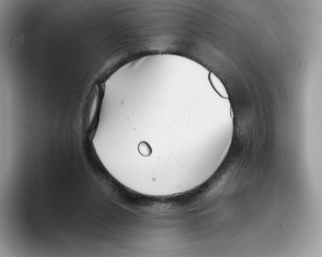 X0000093530256200711091803