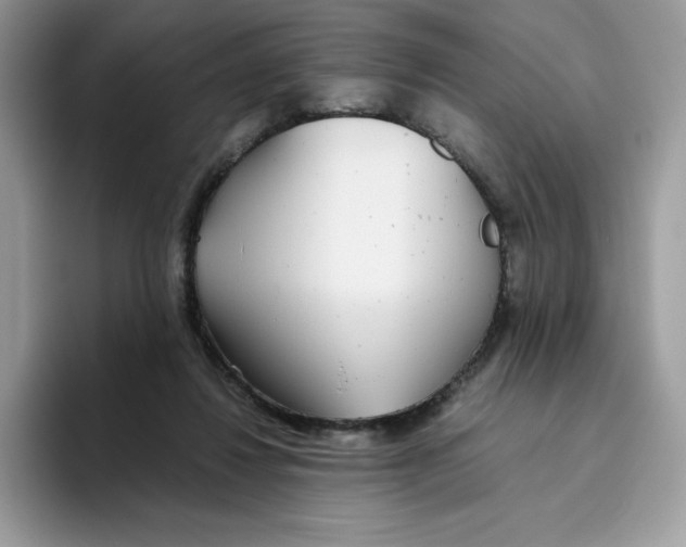 X0000093530260200711091803