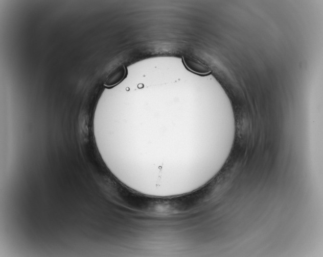 X0000093530264200711091803
