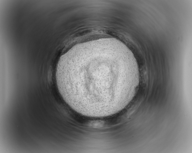 X0000093530266200711091803