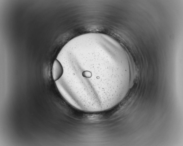 X0000093530268200711091803