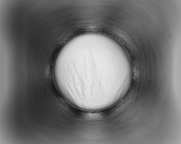 X0000093530270200711091803