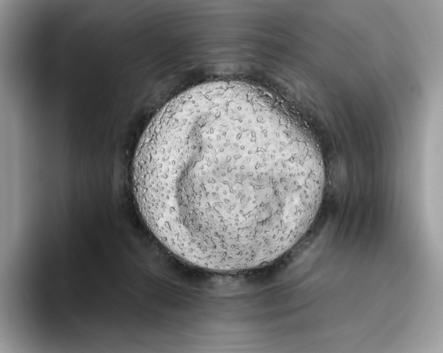 X0000093530272200711091803
