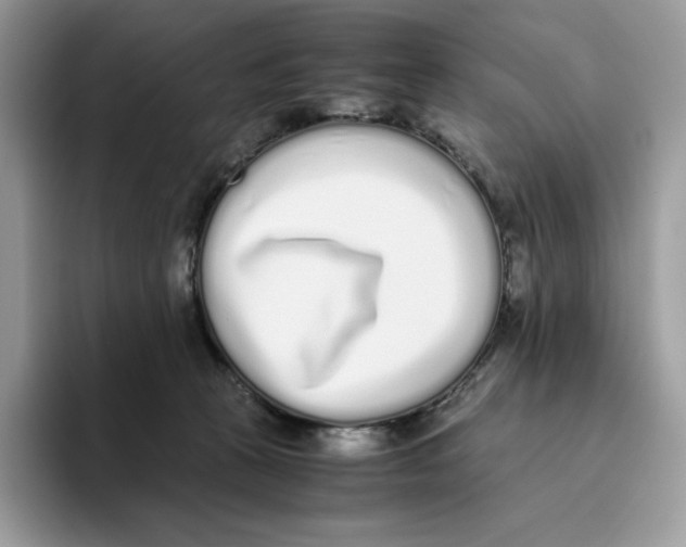 X0000093530273200711091803