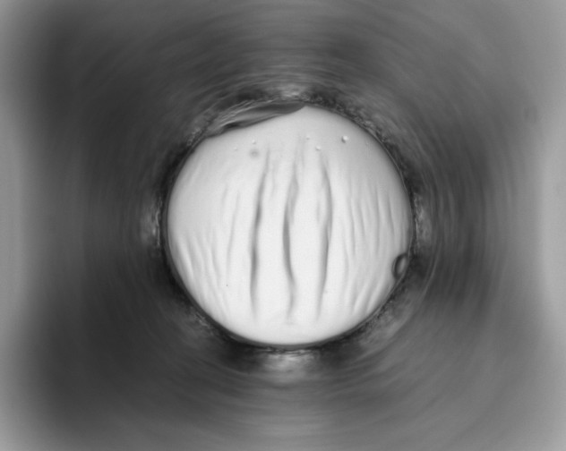 X0000093530274200711091803
