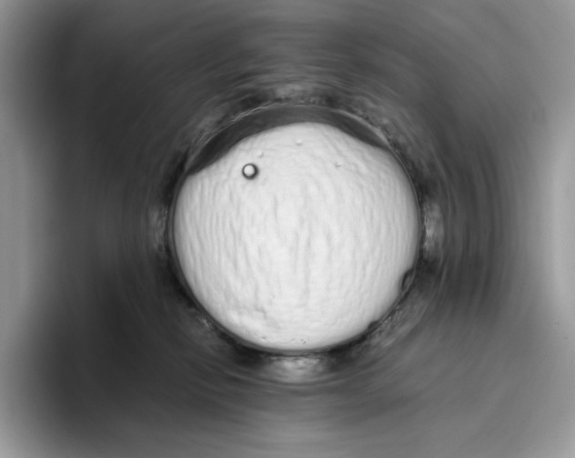 X0000093530278200711091803