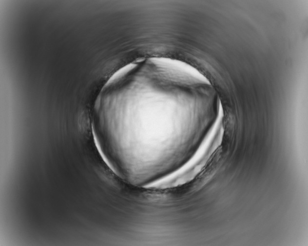 X0000093530284200711091803