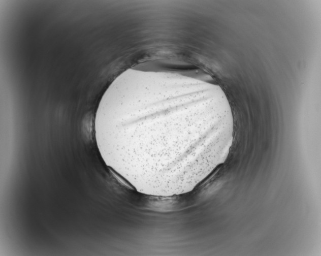 X0000093530288200711091803