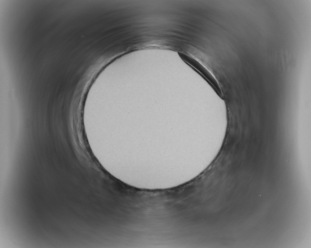 X0000093530289200711091803