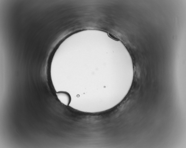 X0000093530292200711091803