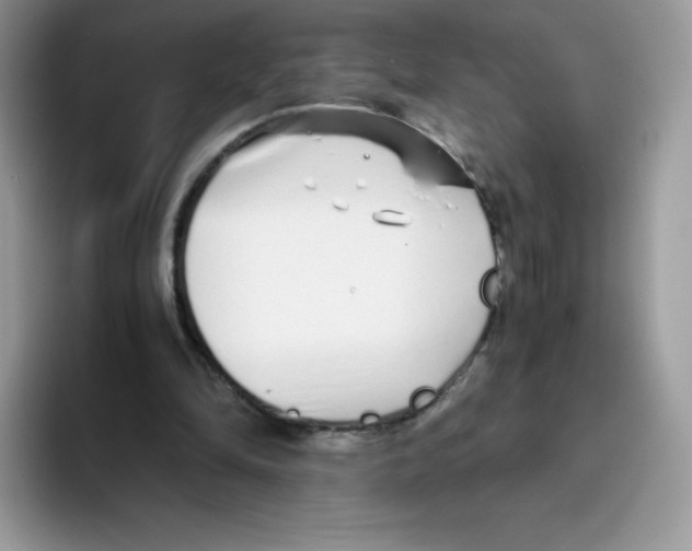 X0000093530294200711091803