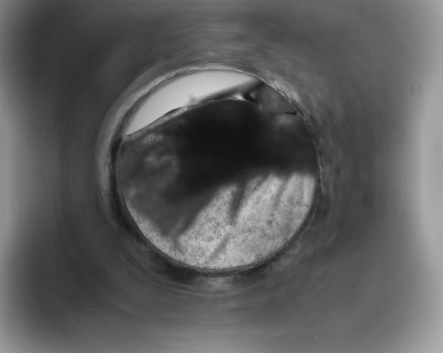 X0000093530295200711091803