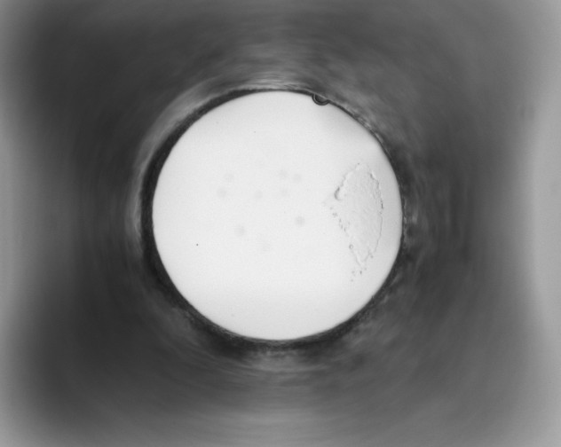X0000093530296200711091803