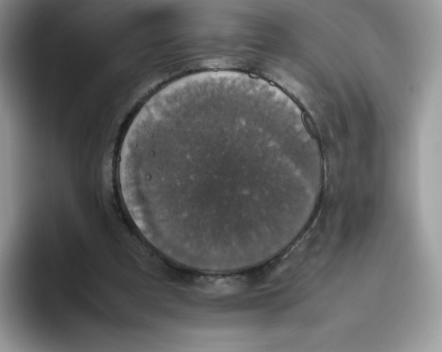 X0000093530297200711091803
