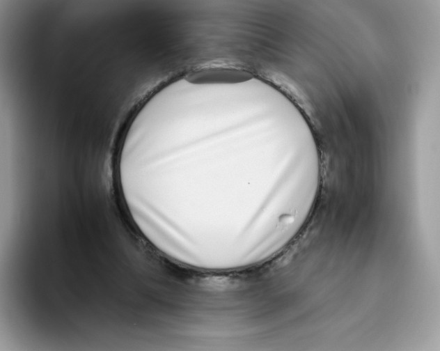 X0000093530298200711091803