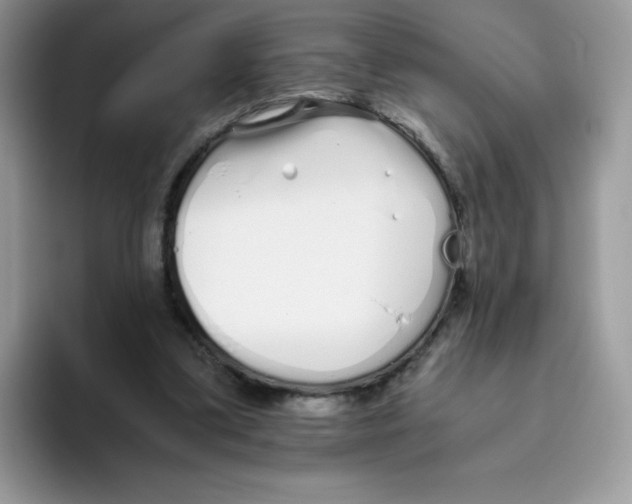 X0000093530299200711091803