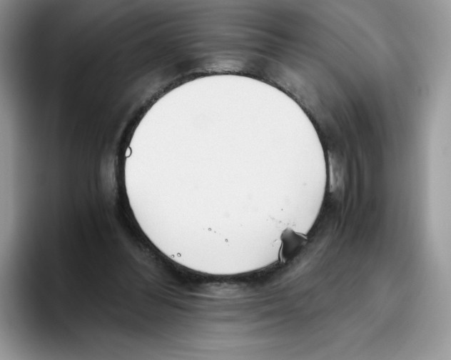 X0000093530300200711091803