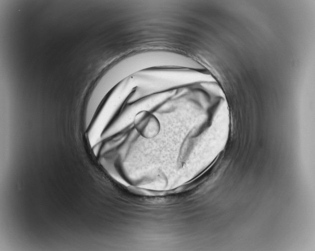 X0000093530301200711091803