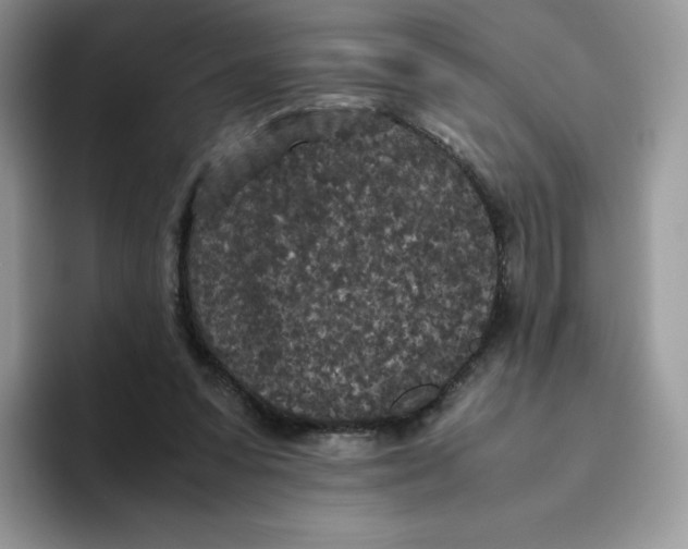 X0000093530303200711091803