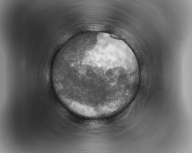 X0000093530305200711091803