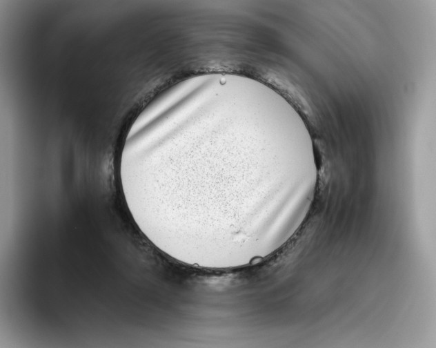 X0000093530306200711091803