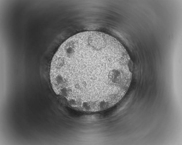 X0000093530307200711091803