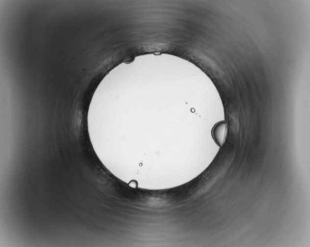 X0000093530308200711091803