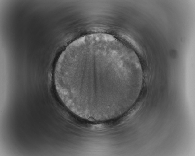 X0000093530309200711091803