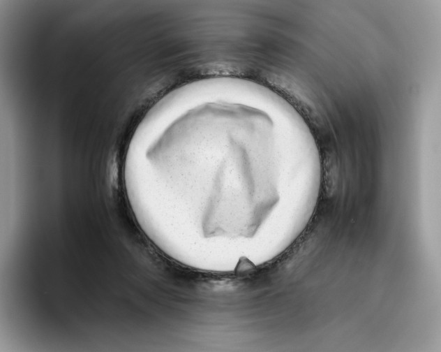 X0000093530310200711091803
