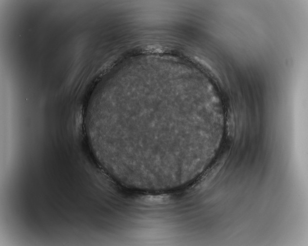 X0000093530314200711091802