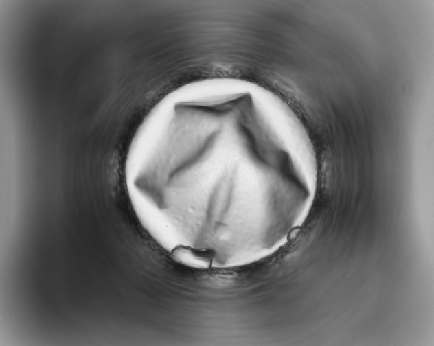X0000093530318200711091802