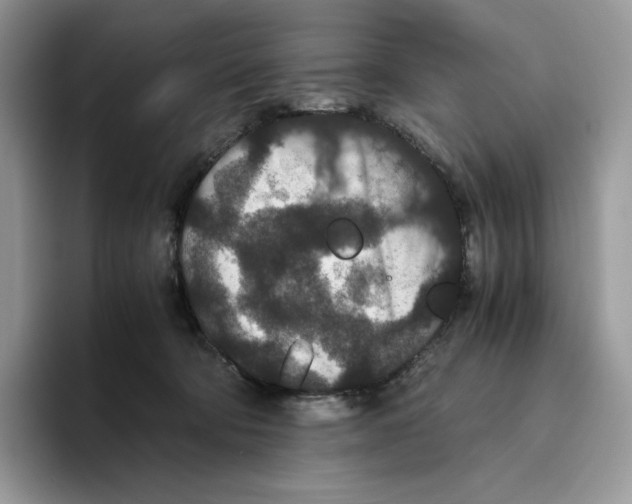 X0000093530322200711091802