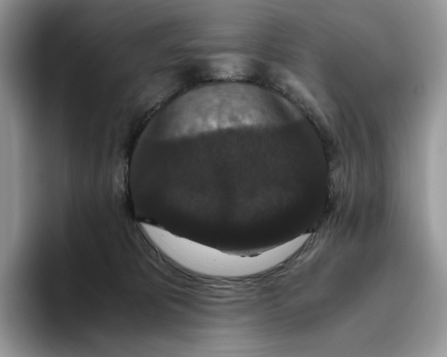 X0000093530325200711091802