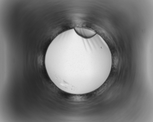 X0000093530326200711091802