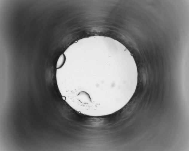 X0000093530328200711091802